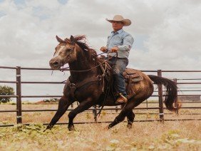 Seven Peaks Fence and Barn - Photo 3