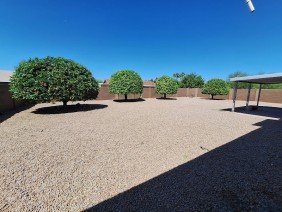 Pro Natural Landscape LLC - Photo 6