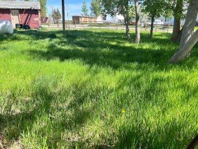 EZ Dayz Landscaping LLC. - Photo 1