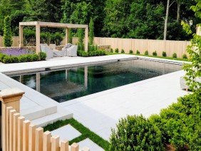 Ivy Studio - Photo 0