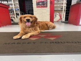 Budds Creek Equipment LLC - Photo 2