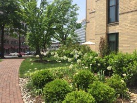 Bethesda Garden Design - Photo 3