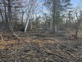 Pogreba Excavating, LLC - Photo 1