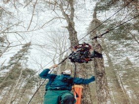 Timber + Frame - Photo 4