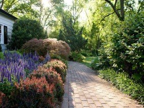 TDH Landscaping - Photo -1