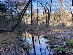 Daniel Salls Land Surveying - Photo 5