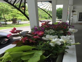 Amy's Garden Design - Photo 2