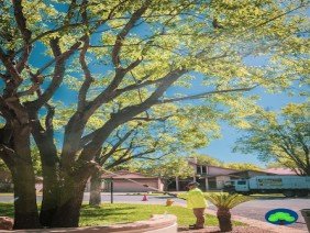 Diaz Tree and Landscape Management - Photo 0