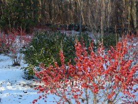 Rue Sherwood Landscape Design - Photo 2