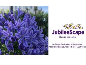 JubileeScape - Photo 6