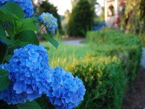 Yard Boss Landscape Design - Photo 0