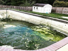 System Pools LLC - Photo 1