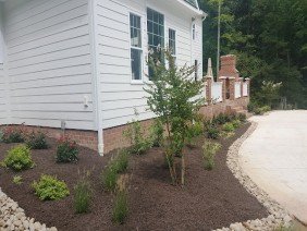 Natural Elements MD Inc - Photo -1