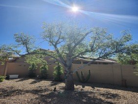 Pro Natural Landscape LLC - Photo 2