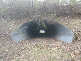 Bryant Land Surveying - Photo 3