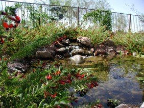 Arte Verde Landscape Design - Photo 6