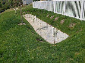 Dorsey Construction Services - Photo 2