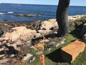 Vineyard Engineering & Environmental Services - Photo 4