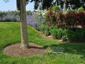 Natural Concerns Inc - Photo 4