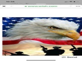 Gomes Plaster and drywall co - Photo 0