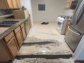 Mark Guy The Carpet Guy - Photo -1