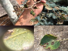 Rodolph Brothers Inc. - Photo 4