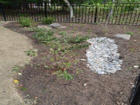 ECOBAY Landscape | Design - Photo -1