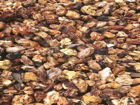 Lehnhoff's Supply - Photo 2