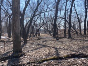 Daniel Salls Land Surveying - Photo 1