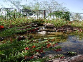 Arte Verde Landscape Design - Photo 1