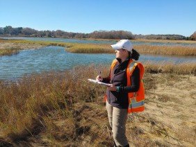 Beals and Thomas, Inc. - Photo 2