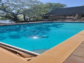 Clearene Pool & Spa Services - Photo -1