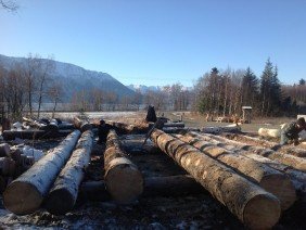 Alaska Log Structures - Photo -1