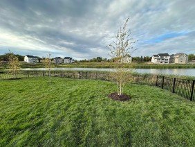 Superior Fence & Rail - Photo 4