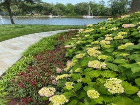 Jams Lawn & Gardening Inc - Photo 4