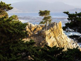 Foundation Building Materials - Photo 2