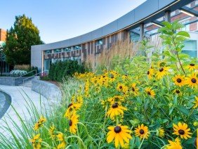 MDLA Landscape Architecture - Photo 2