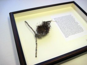 Framers' Workshop - Photo 2