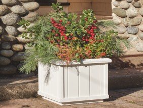 Walpole Outdoors - East Falmouth - Photo 4