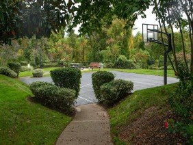 Level Green Landscaping - Photo -1