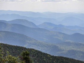 Panoramic Land Surveys - Photo 2