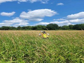 NorthCentral Land Surveying, LLC - Photo -1