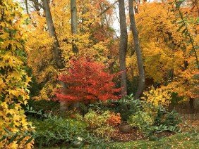 Bethesda Garden Design - Photo 6