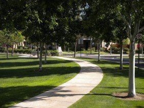 CollectiV Landscape Architects - Photo 1