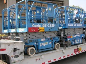 NC The Cat Rental Store - Photo -1