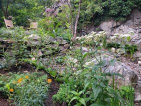 Wellnesscapes Design - Photo 2