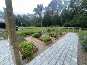 Reimagined Roots - Photo 6