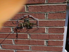 E-Z Electric - Photo 4