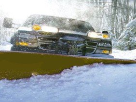 San Marino Landscape and Construction - Photo 1