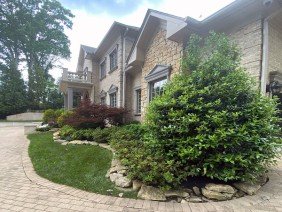 Blue Collar Scholars Landscaping and Construction - Photo 5